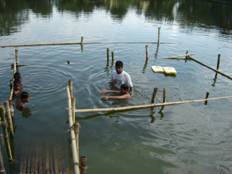 A Community Swimming Instructor with students at a typical training site
